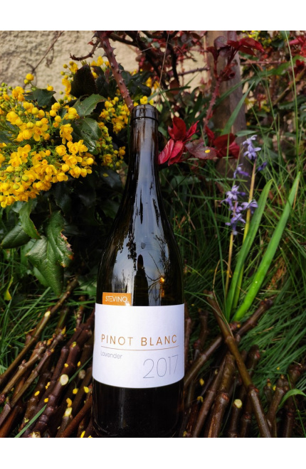 Pinot Blanc lavender