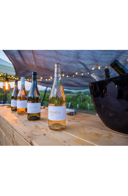 Šípkové víno Šípkové víno