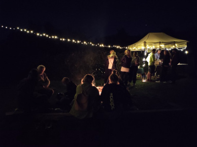 Letné vinohradnícke kino