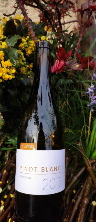 Pinot Blanc lavender