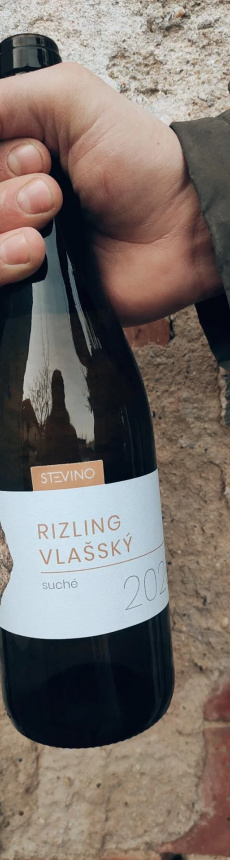 Rizling Vlašský z amfory