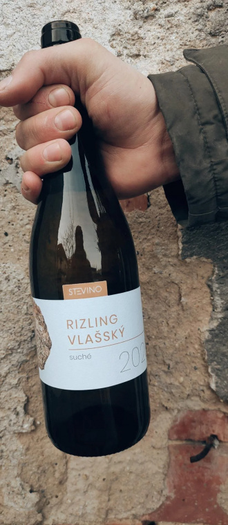 Rizling Vlašský z amfory